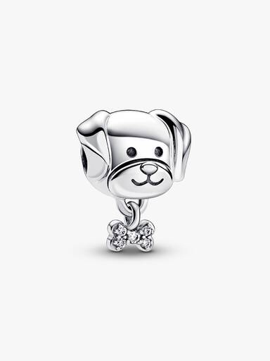 Hund & Knochen Charm