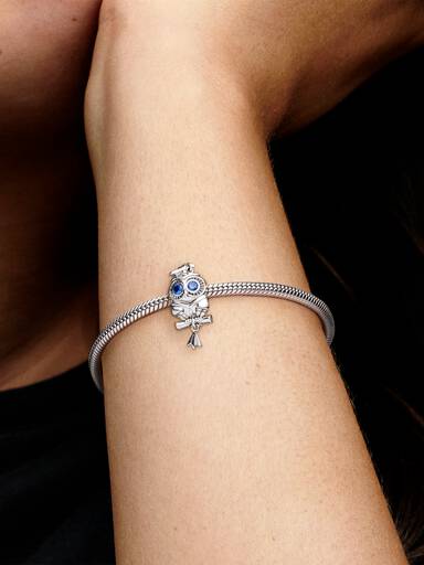 Weise Eule Schulabschluss Charm