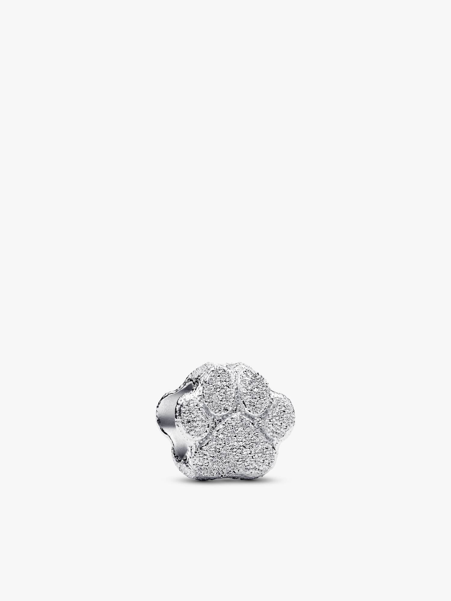 Strukturierte Pfote Mini-Charm