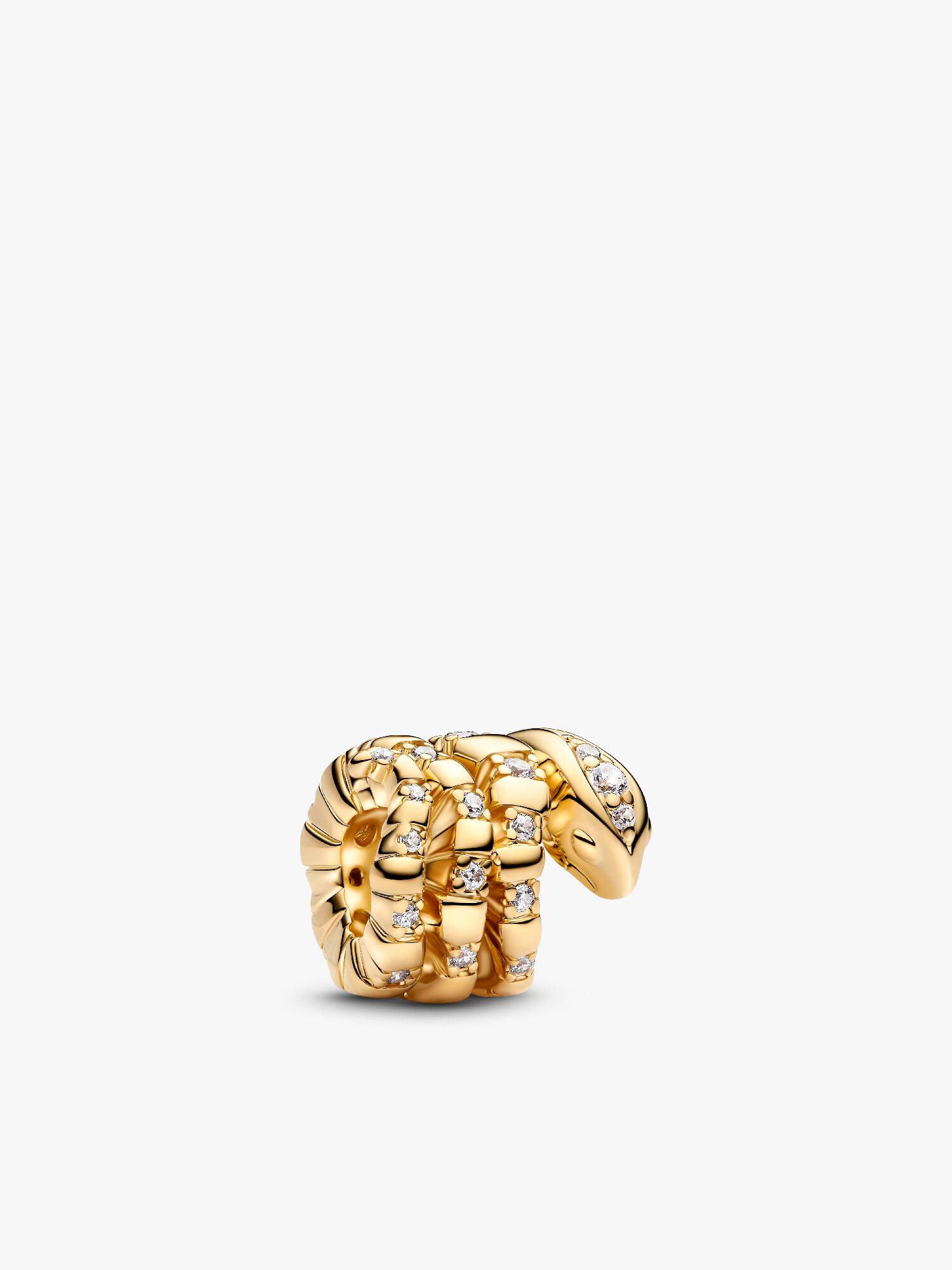 Zusammengerollte Schlange Charm