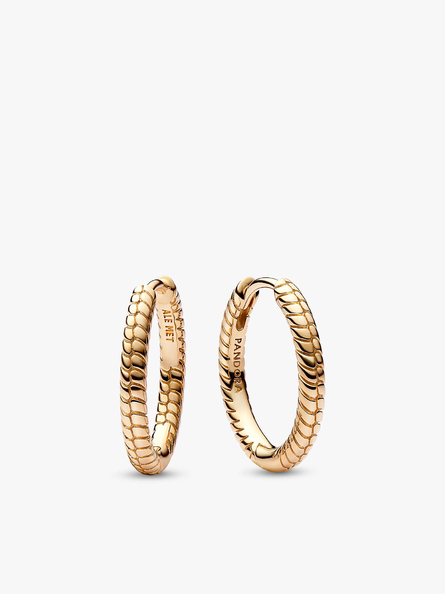 Pandora Moments Kleine Charm-Ohrringe