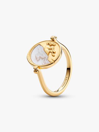 Pegasus Wendbarer Medaillon-Ring