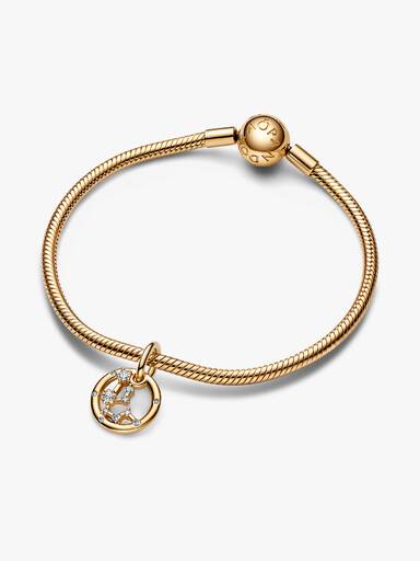 Sternzeichen Wassermann Charm-Anhänger
