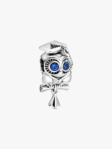 Weise Eule Schulabschluss Charm
