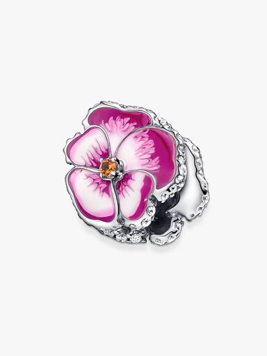 Rosafarbenes Stiefmütterchen Charm