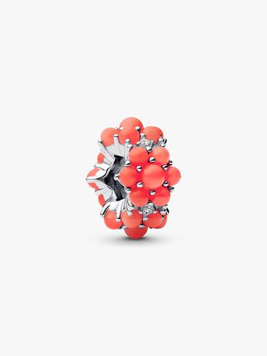 Korallenrotes Ozean Charm