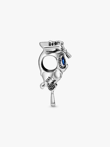 Weise Eule Schulabschluss Charm