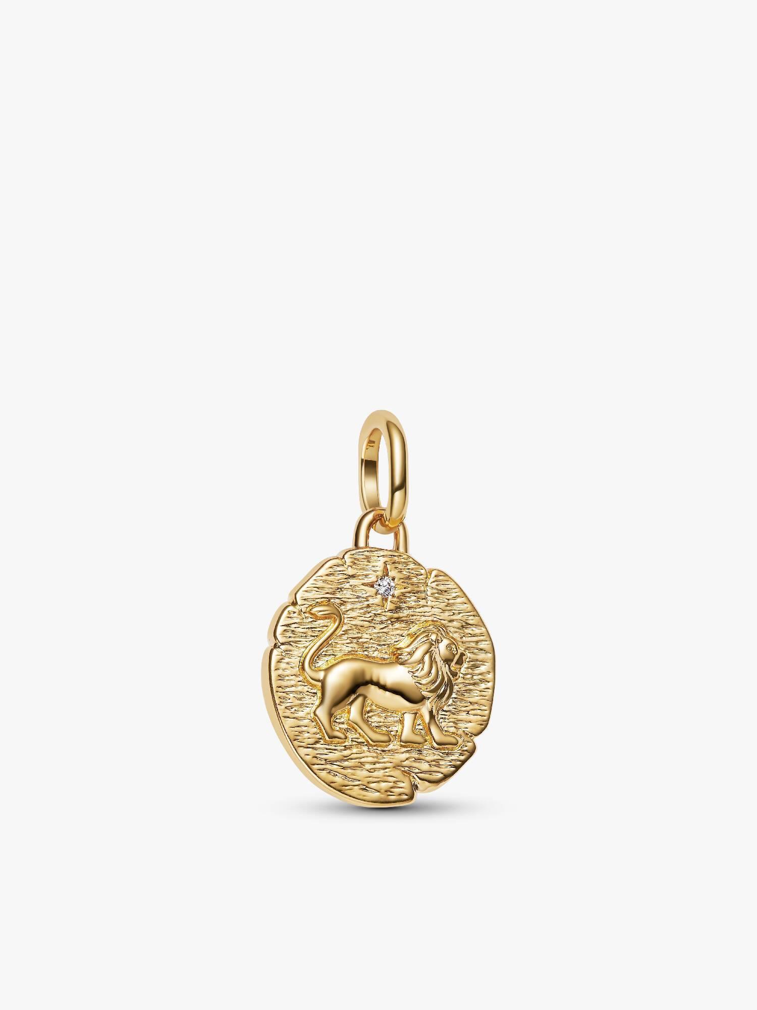Löwe Medaillon-Charm