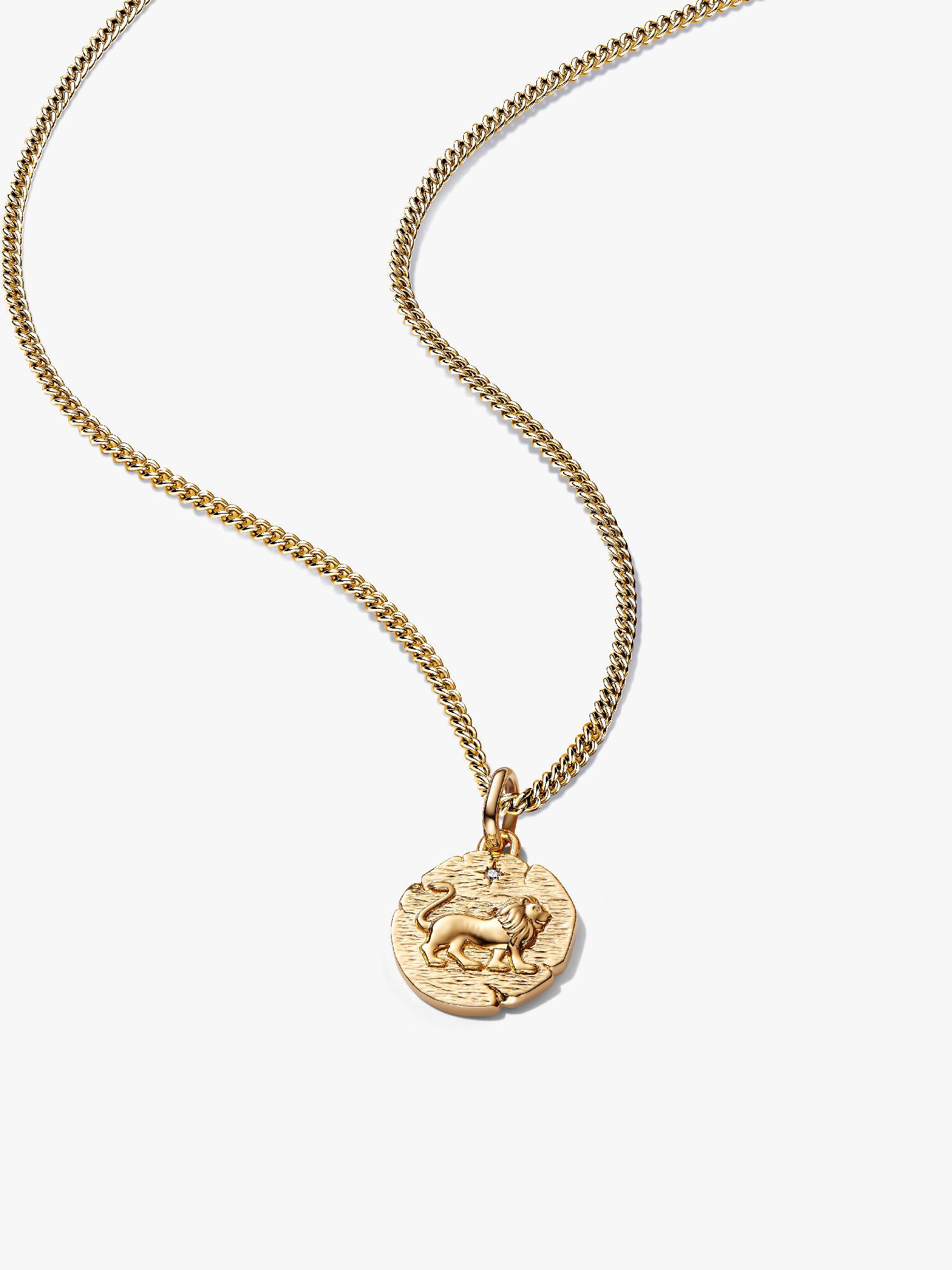 Halskettenset mit Löwen Medaillon Charm