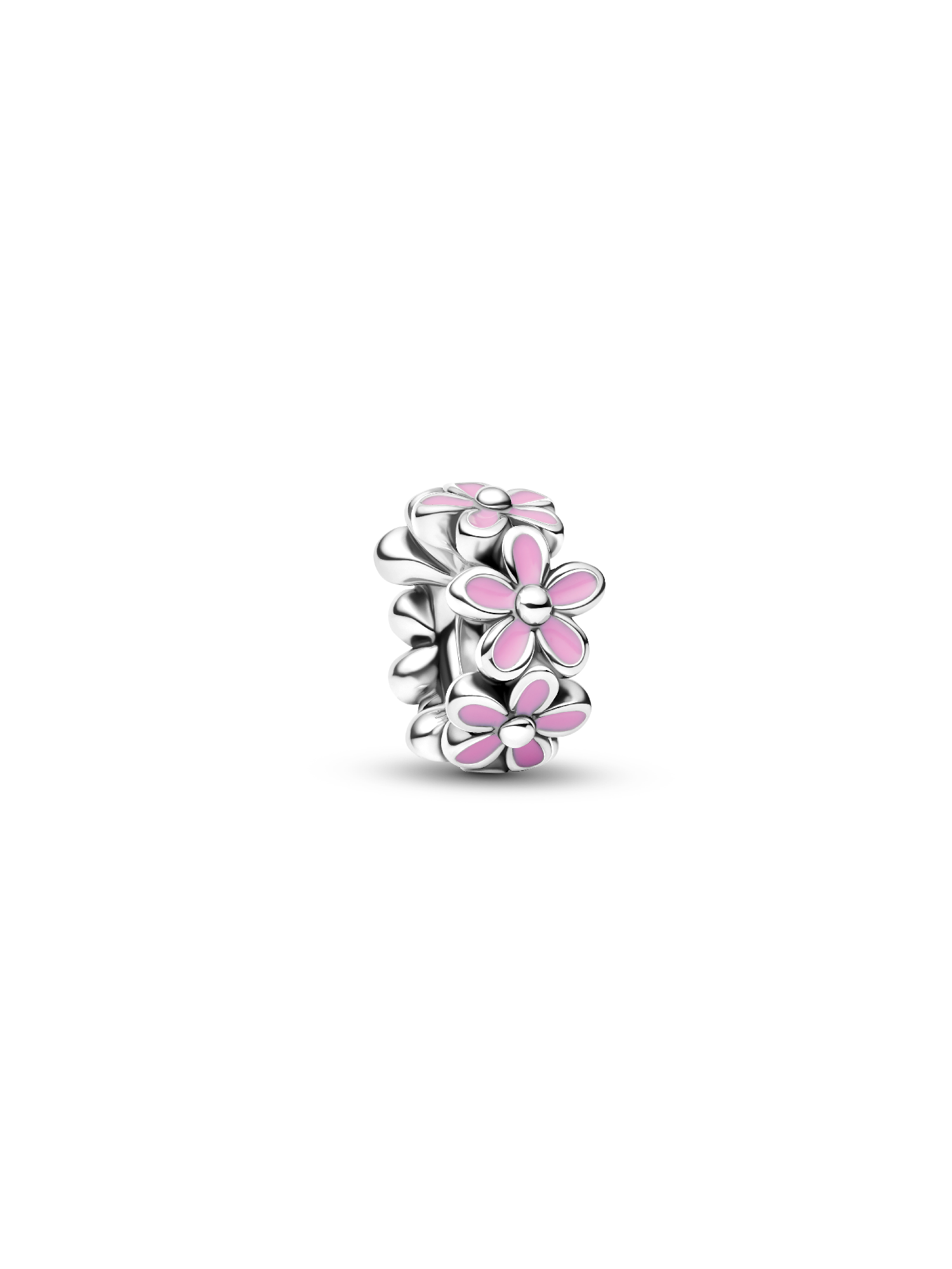 Rosafarbenes Gänseblümchen Zwischenelement