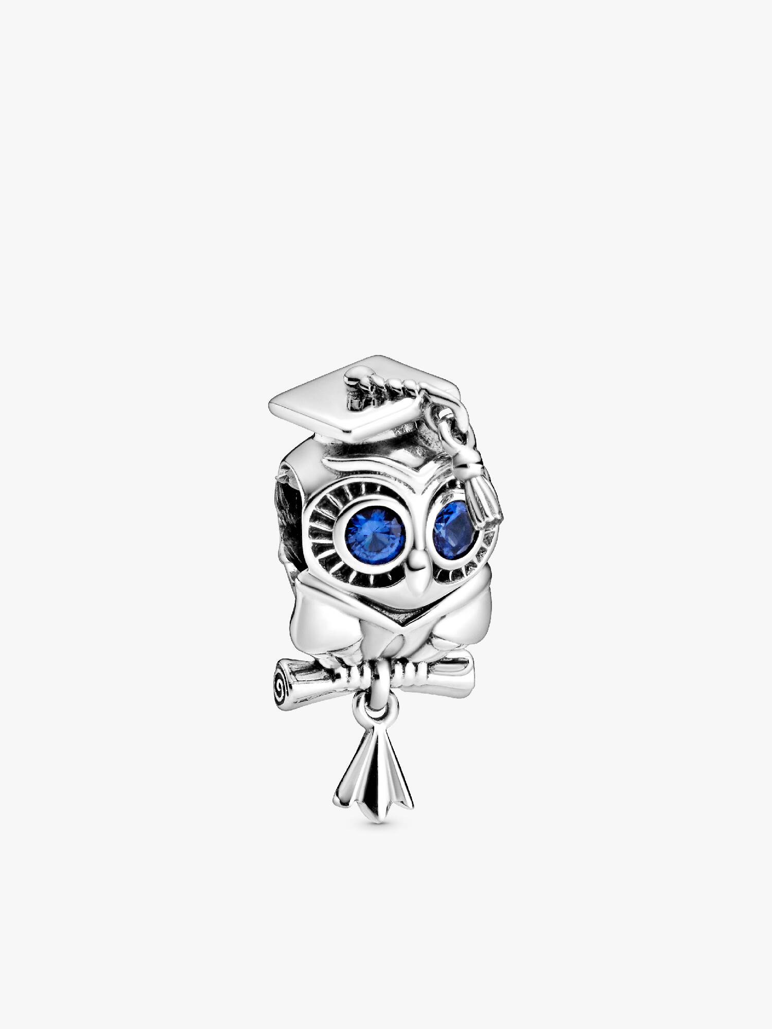 Weise Eule Schulabschluss Charm