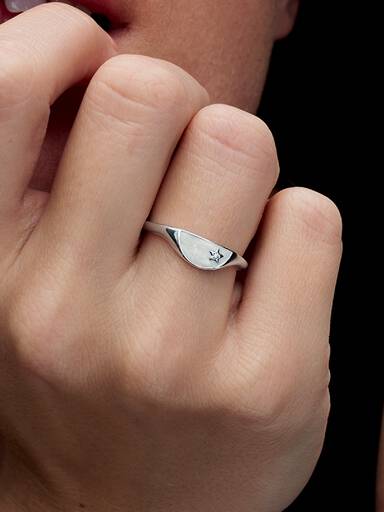 Pandora ME Halbierter Emaille Siegelring