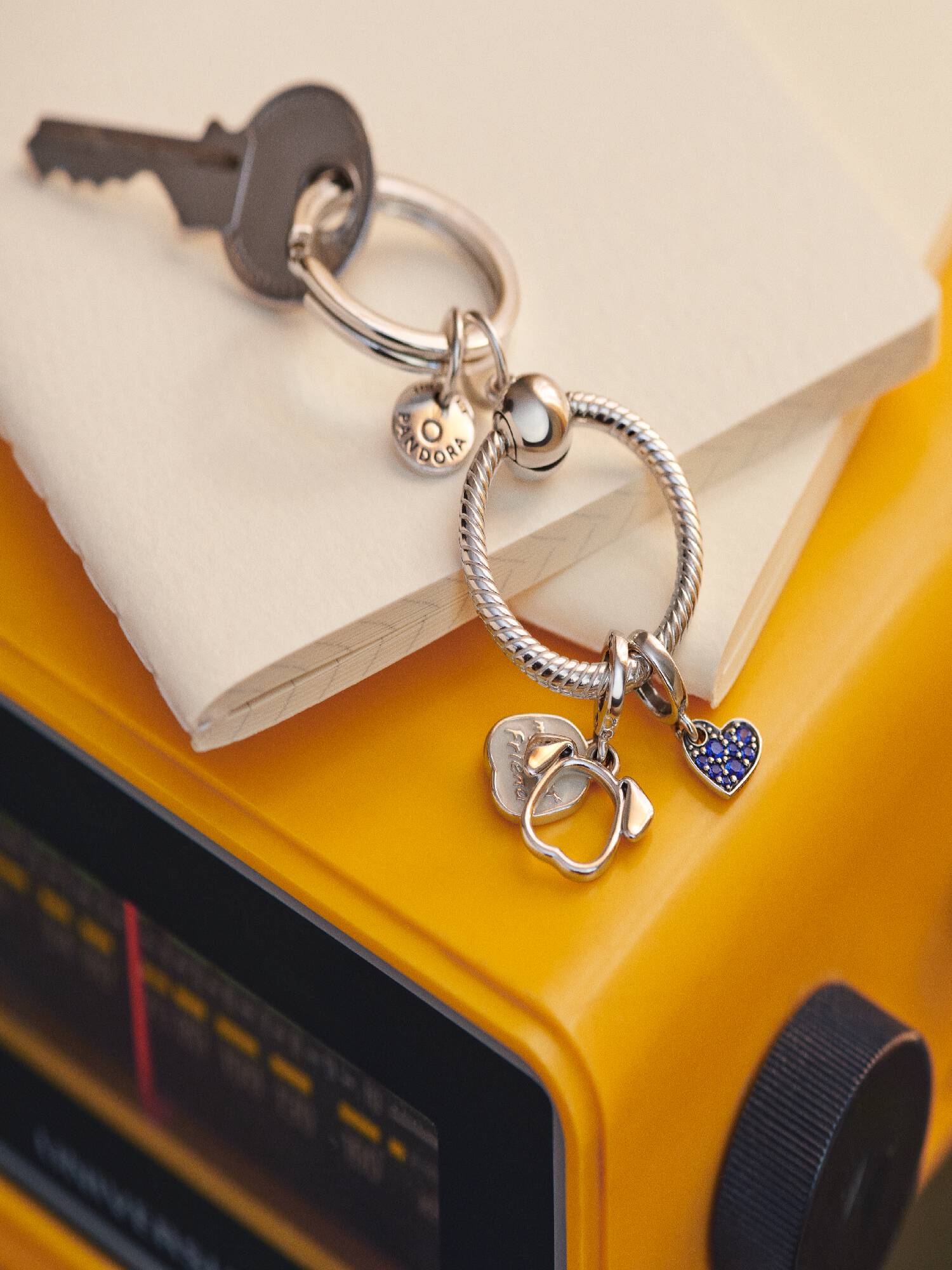 Pandora Moments Charm Schlüsselanhänger