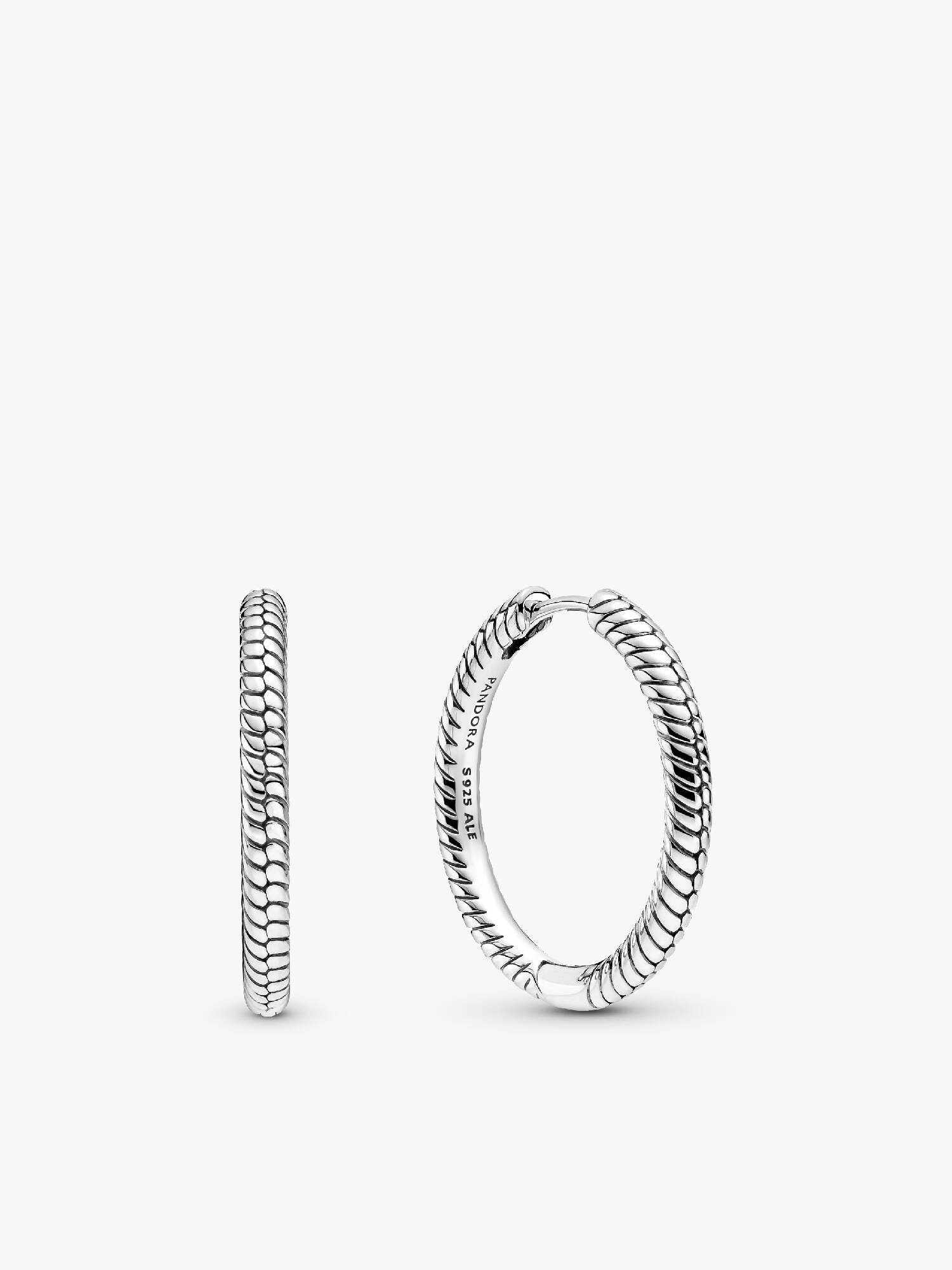 Pandora Moments Charm-Ohrringe