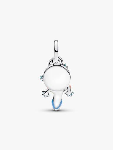 Salamander & Gravierbarer Runder Anhänger Doppelter Charm-Anhänger