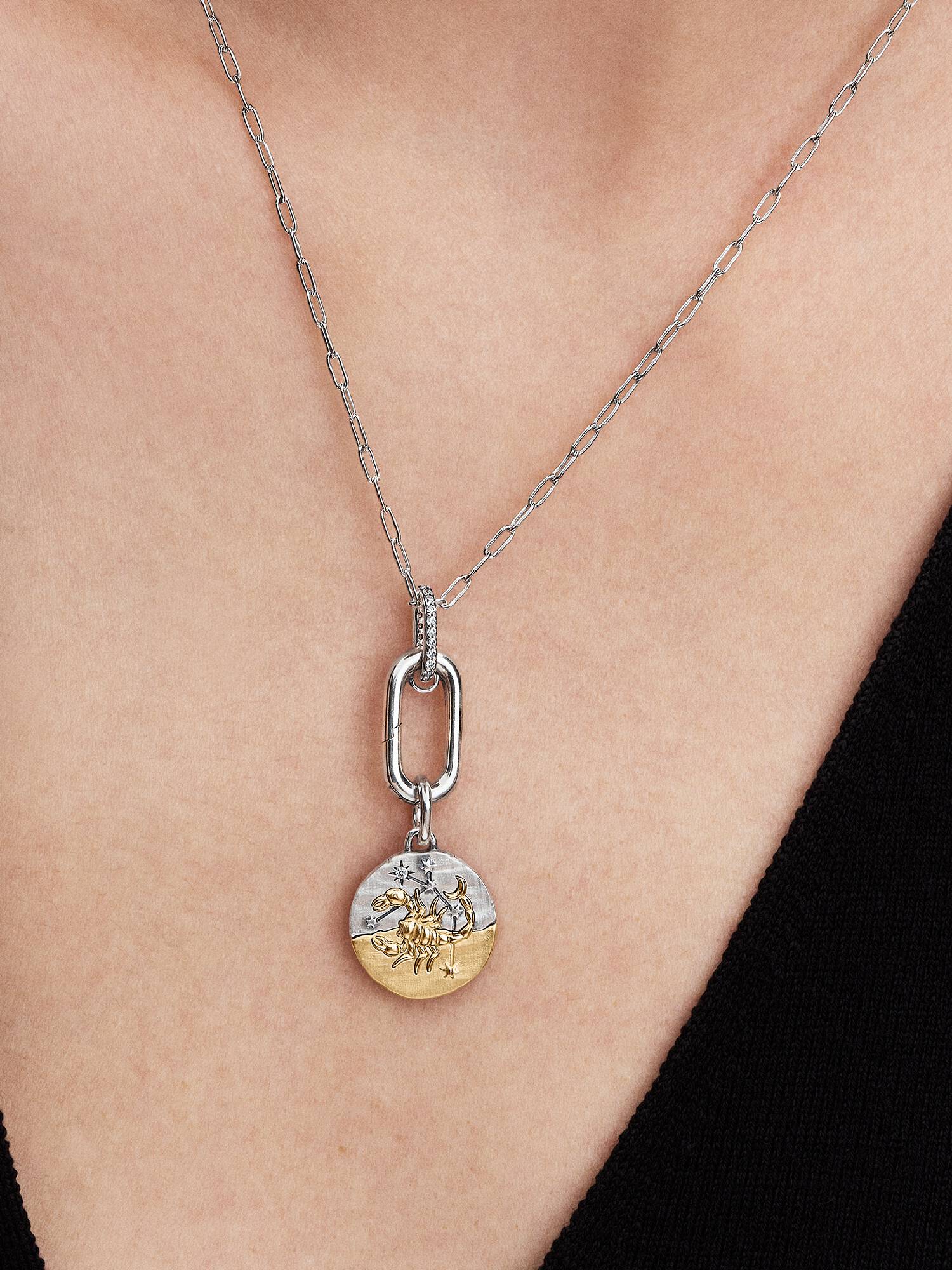Sternzeichen Skorpion Medaillon-Charm