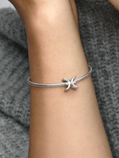 Funkelnde Fische Sternzeichen-Charm