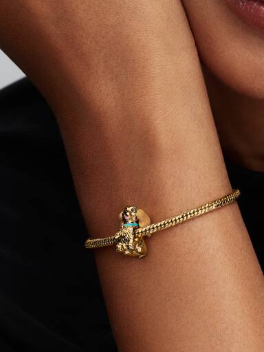 Disney Susi Charm