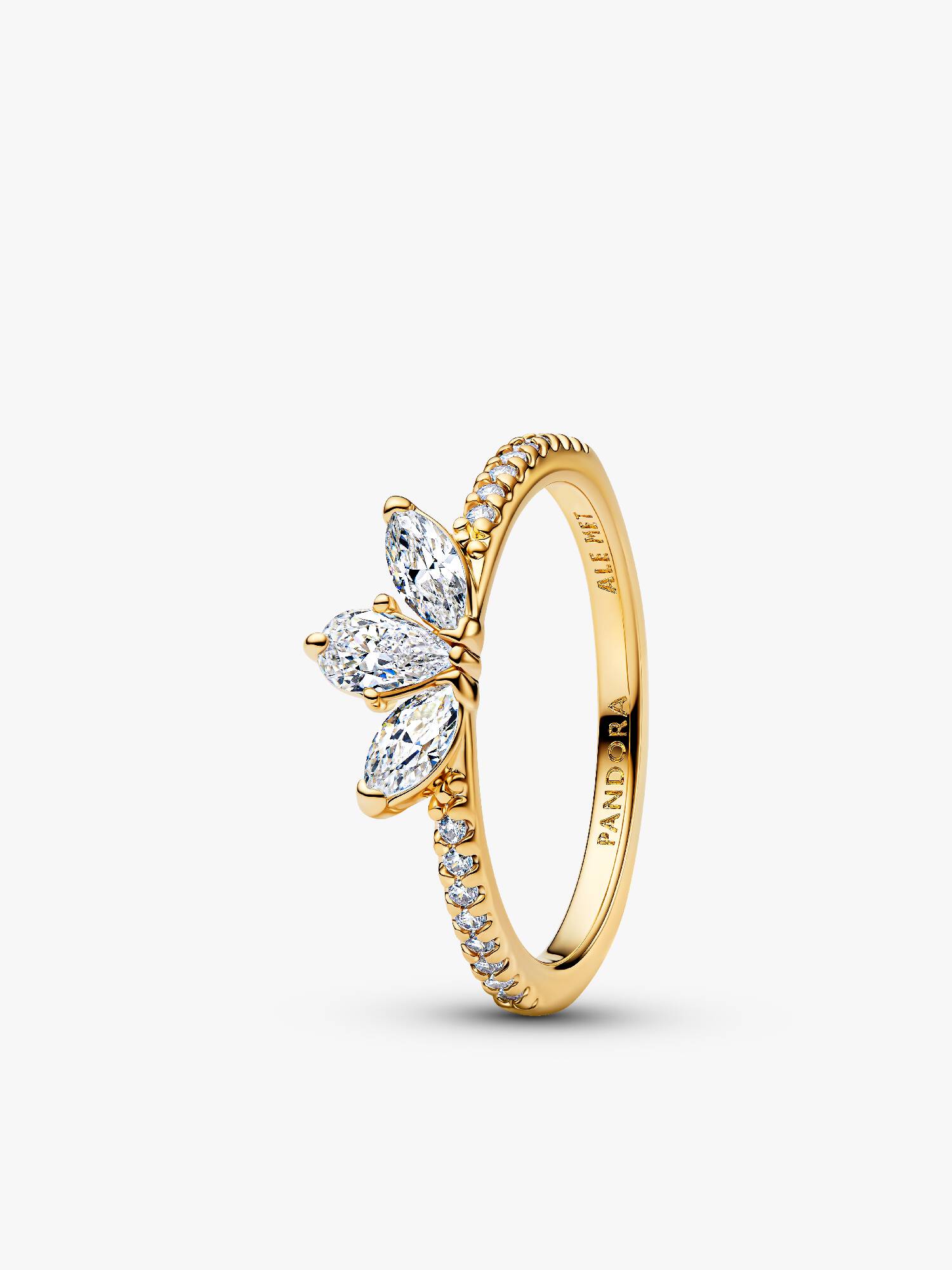 Funkelnder Herbarium Cluster Ring