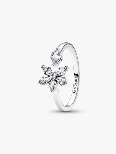 Funkelndes Herbarium Cluster Offener Ring