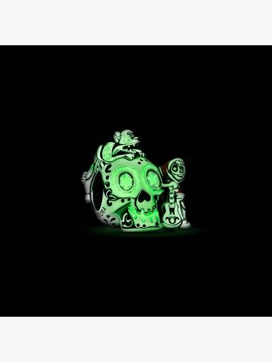 Disney Pixar Coco Miguel & Dante Glow-in-the-dark Totenkopf Charm