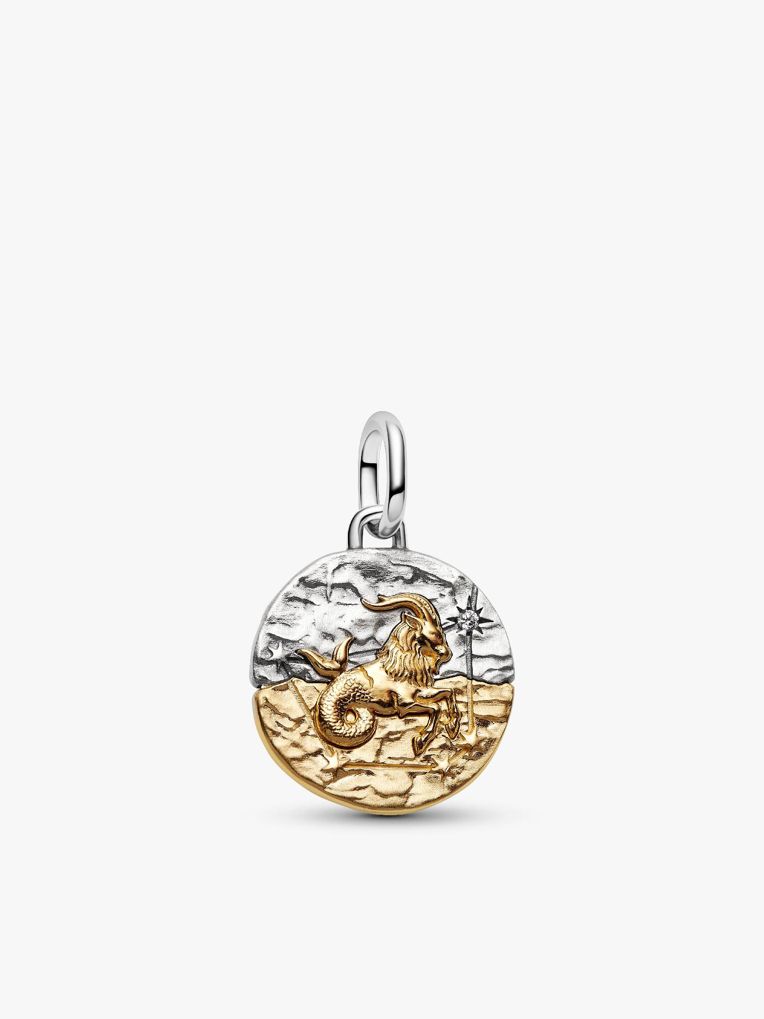 Sternzeichen Steinbock Medaillon-Charm