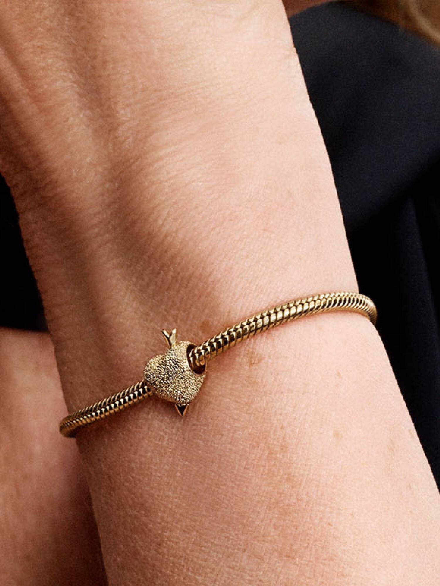Amor Herz Charm