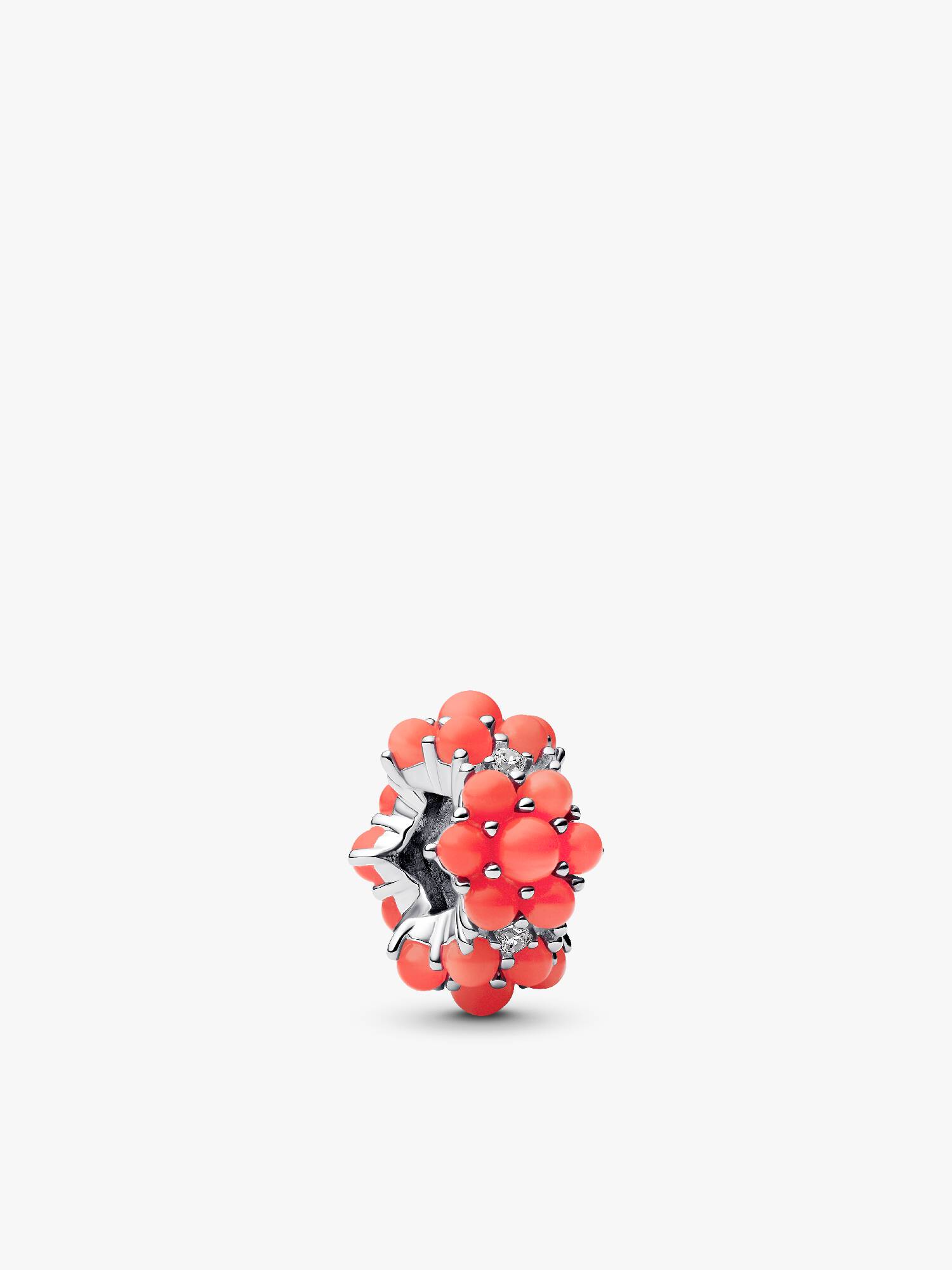 Korallenrotes Ozean Charm