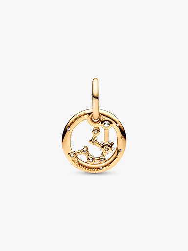Sternzeichen Wassermann Charm-Anhänger