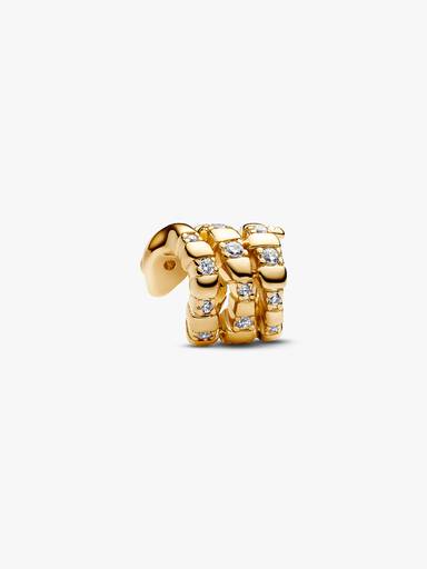 Zusammengerollte Schlange Charm
