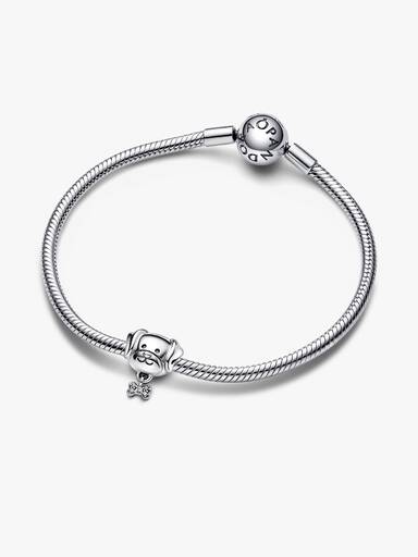 Hund & Knochen Charm
