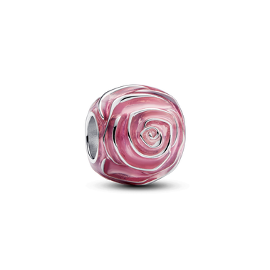 Rosafarbene Blühende Rose Charm