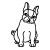 Franz&ouml;sische Bulldogge